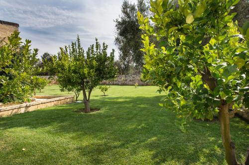 Taman di luar Masseria Saietti
