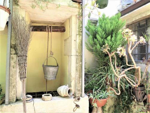 a group of potted plants on a patio at La Casa Delle Fate in Siracusa