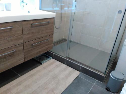 a bathroom with a shower and a sink at Bel et spacieux appartement de 84 m² avec parking très proche du Métro Garibaldi in Lyon