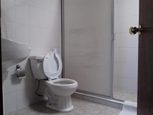 a bathroom with a toilet and a shower at Promotora Hotelera Tocuila in Texcoco de Mora
