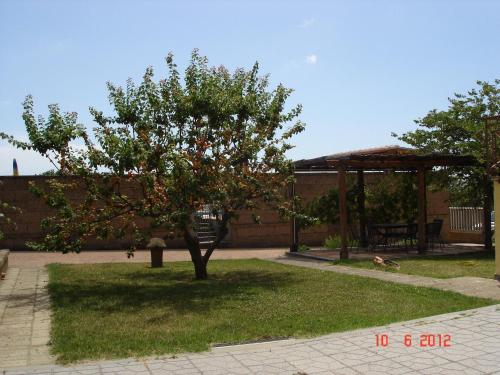 an apple tree in the middle of a yard at Agriturismo Casale Di Gricciano in Cerveteri