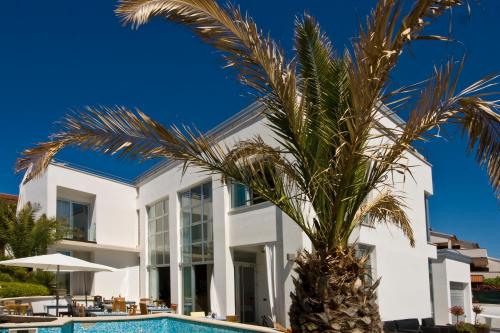 Villa Andrea