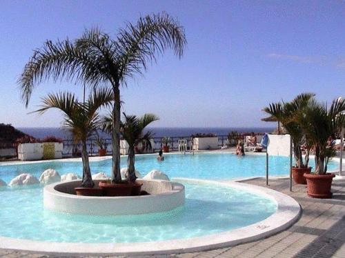 una piscina con palmeras en un complejo en Guanabara park, en Puerto Rico de Gran Canaria
