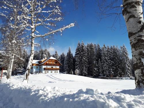 a house in the snow with trees at Prestlhof in Mariapfarr