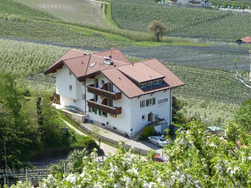 a house in the middle of a vineyard at Mühlhaus in Schenna