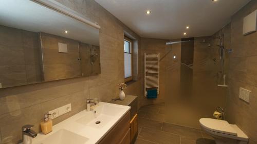 a bathroom with a sink and a shower and a toilet at Apartment Hanna in Ramsau im Zillertal