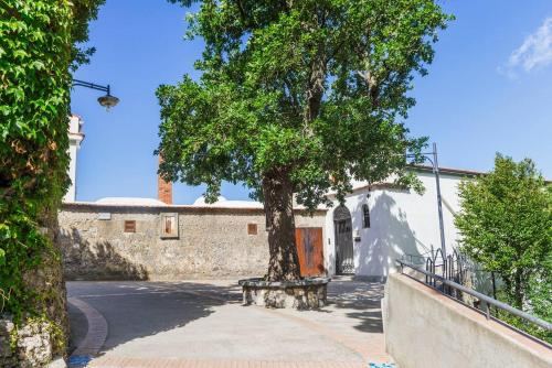 a tree sitting on a bench next to a building at Estate4home - Casa Satriano in Positano