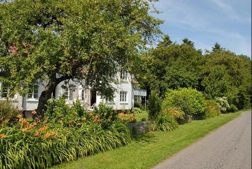 a white house with a tree and some flowers at Feriestedet Skovly in Klemensker