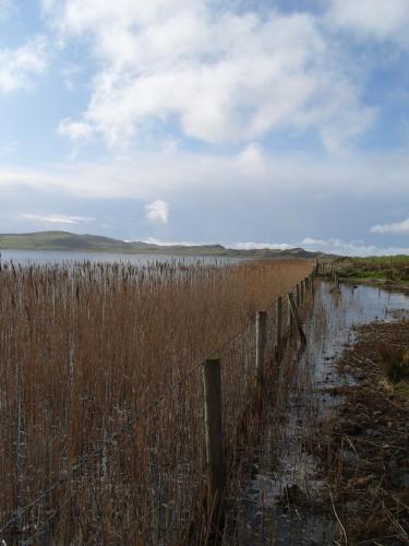 Gallery image of The Mill in Dunfanaghy