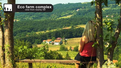 a woman sitting on a bench looking at the mountains at Eco Farm Milanovic in Despotovac