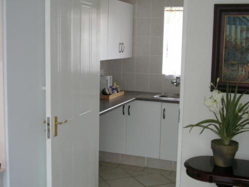 a kitchen with white cabinets and a potted plant at Elizabeth Lodge in Boksburg