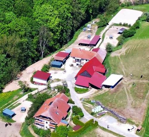 una vista aérea de un grupo de casas con techos rojos en Pferdehof und Wanderreitstation Dörsam, en Mörlenbach