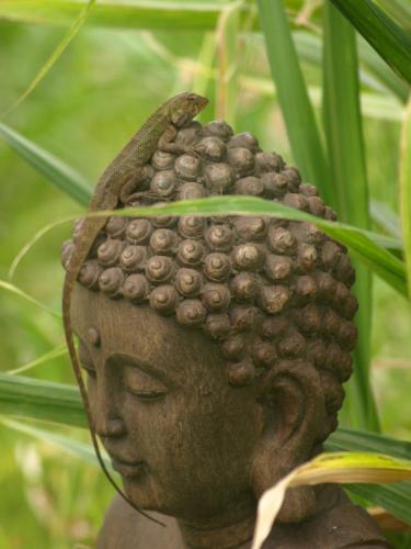 a statue of a head with a bunch of beads on it at Les Coeurs d'Amants in Saint-Joseph