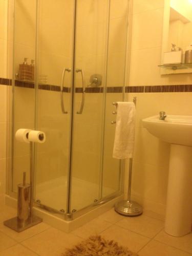 La salle de bains est pourvue d'une douche avec une porte en verre. dans l'établissement Letterkenny Town Centre Apartment, à Letterkenny