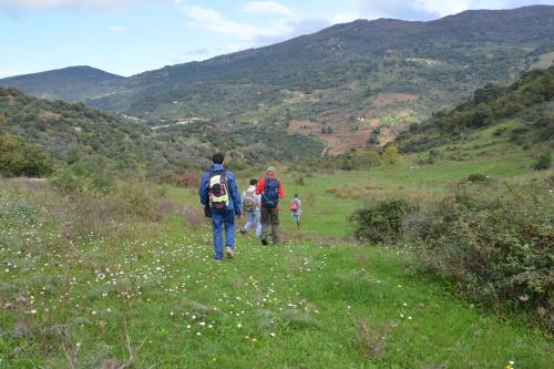 a group of people walking down a grassy hill at jusu e susu montagna mare in Mistretta