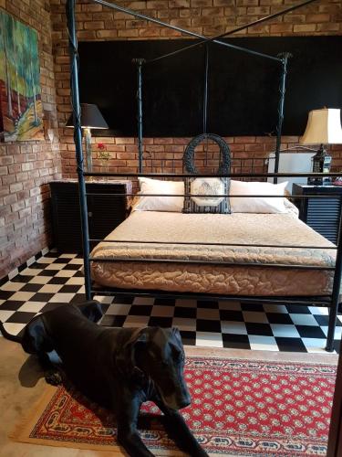 a black dog laying on the floor next to a bed at MyAula in Tierpoort