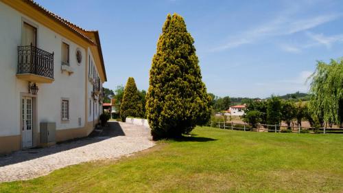 a large tree in a yard next to a building at Quinta da Serrana in Ourém