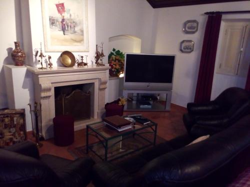 a living room with a fireplace and a television at Quinta da Serrana in Ourém