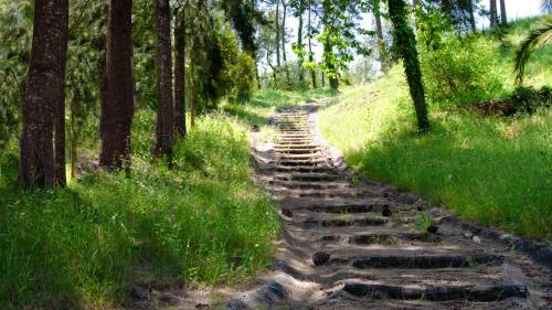 a stone path in a forest with trees and grass at Quinta da Serrana in Ourém