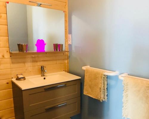 a bathroom with a sink and a mirror at Arizona Dream in Lanouaille