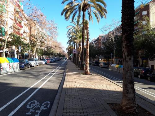 una strada con palme sul lato della strada di "Casa TOLIMA" a Barcellona