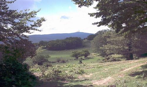 a field with trees and a hill in the distance at Al Palmento in Galati Mamertino