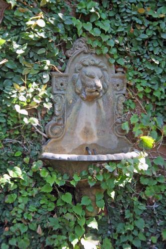 a statue of a lion is covered in ivy at Casa Lila in Mendoza