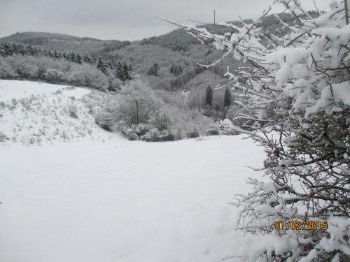 a snow covered field with trees and mountains in the background at B&B Au fil des saisons sur la Wiels in Fauvillers