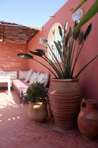 a patio with two large pots with plants in it at Tifawin Apartment in Mirleft