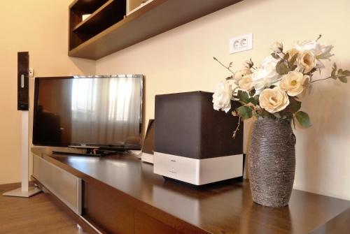 a vase with flowers on a table next to a tv at Nice Apartment & Room in Cavtat in Cavtat