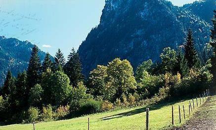 a field with trees and a fence in front of a mountain at Gästehaus Enzianhof Hotel Garni in Oberammergau