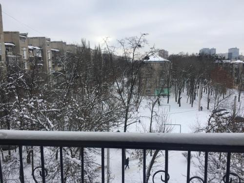 een met sneeuw bedekt park met bomen en gebouwen bij "Indigo" in Charkov