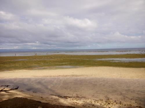 a beach with the ocean in the background at La Villa Alta in Siquijor