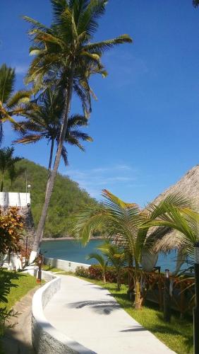 a pathway with palm trees and a body of water at La Quinta Gran Bahía, Cuastecomates - Todo Incluido in Cuastecomate