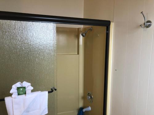 a bathroom mirror with a towel and a shower at Webb's Scenic Surf in Cannon Beach