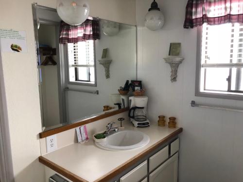 a bathroom with a sink and a mirror at Webb's Scenic Surf in Cannon Beach