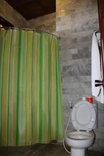 a bathroom with a green shower curtain and a toilet at Puri Bunga Beach Cottages in Senggigi 
