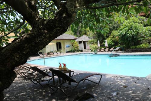 a swimming pool with two chairs and a table next to a tree at Puri Bunga Beach Cottages in Senggigi 