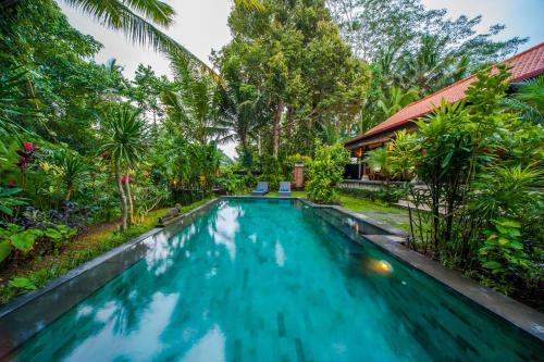 a swimming pool in front of a house with trees at Luxury 3BR Infinity Jungle View Aashaya Villa Ubud in Ubud