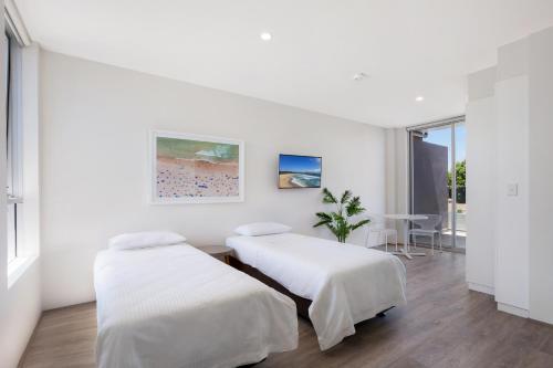 two beds in a room with white walls at Bondi Beach Studio Penthouse Suite + Balcony in Sydney