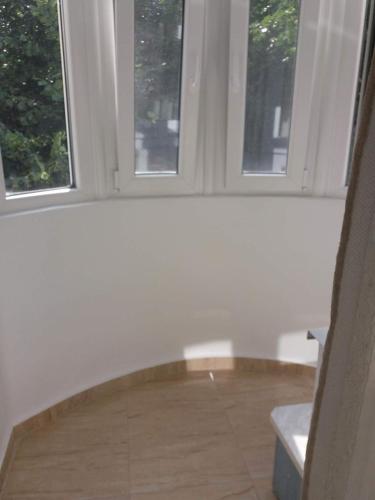 トゥルダにあるGarsoniera MARIAの窓2つが備わるウッドフロアの客室です。