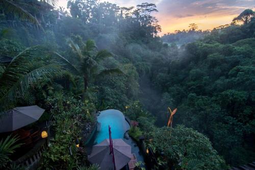a view of a jungle with a blue raft at Bidadari Private Villas & Retreat in Ubud