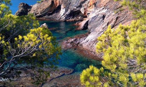 Φυσικό τοπίο κοντά σε αυτό το διαμέρισμα