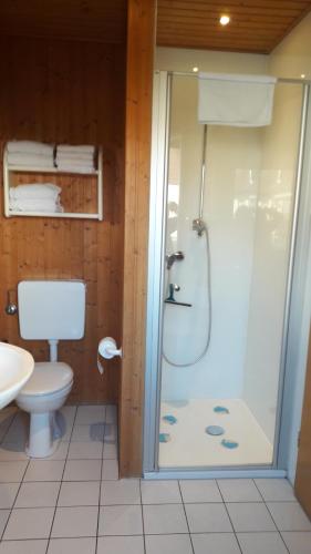 een badkamer met een douche en een toilet bij Ferienhaus 3 Köhr-Eickhoff in Lembruch