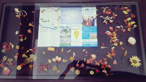 a display of flowers and leaves on a wall at Sleep Inn Hostel in Bucharest