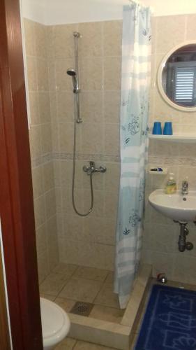a bathroom with a shower and a toilet and a sink at House Rasohatica Tare in Korčula