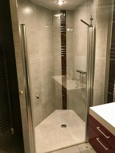 une douche avec une porte vitrée dans une salle de bain dans l'établissement Bright apartment with a garden and a wonderfull sea view, au Trayas