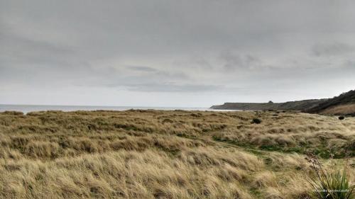 a field of grass with the ocean in the background at Ula Cottage in Saint Helens