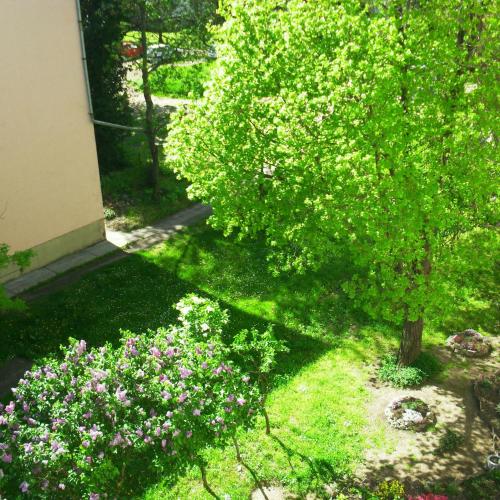 a tree in a yard with flowers in the grass at Fészek Apartman in Békéscsaba