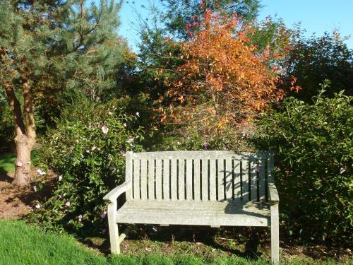 a wooden bench sitting in the grass next to trees at Manoir De Savigny in Valognes
